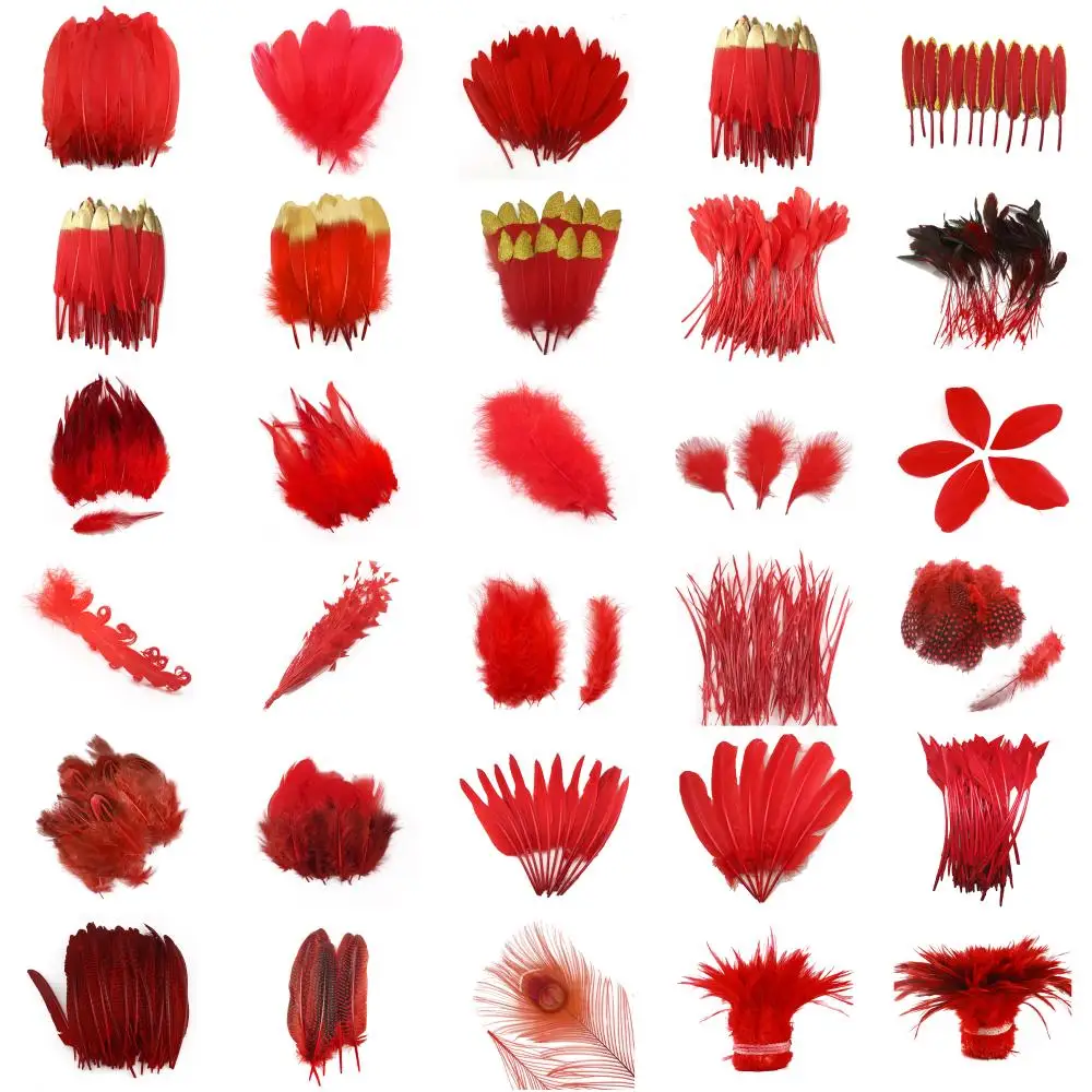 46 Styles Red Feathers DIY Crafts Natural Pheasant Rooster Duck Feather for Mask Costume  Assortment Clothing
