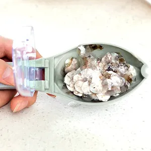 En çok satılan 12, descamador balığı-no. 7