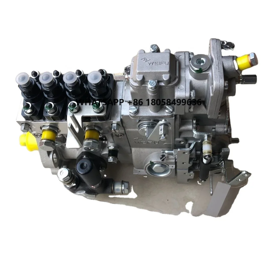 

BHF4PM105001 Genuine Weifu Fuel Pump Pump ASSY