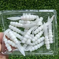 GD26 20pcs 04
