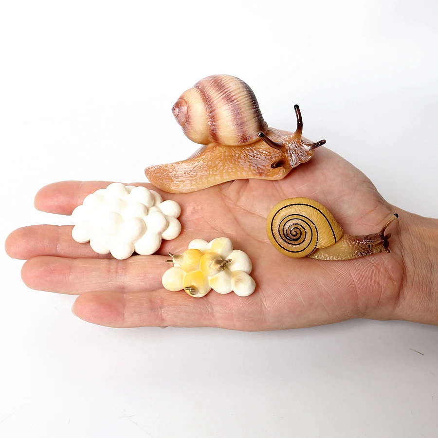 Realistischer Lebenszyklus einer Schnecke, Modellfigur, Schneckenfigur, Partyzubehör, Kuchendeckel, Tischdekoration, Sammlungsspielzeug