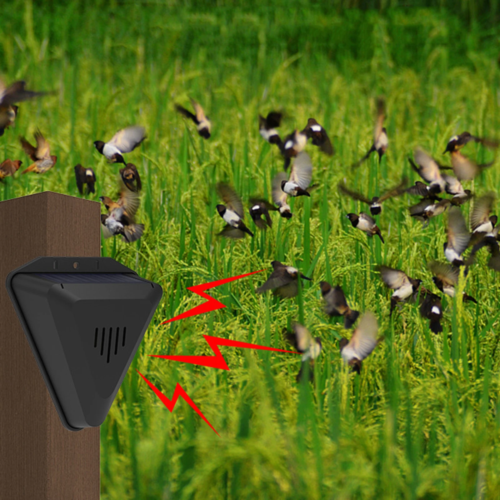 

Solar Bird Repeller Animal Repellent Sound Light Alarm Outdoor Farms Orchards Crops Rice Field