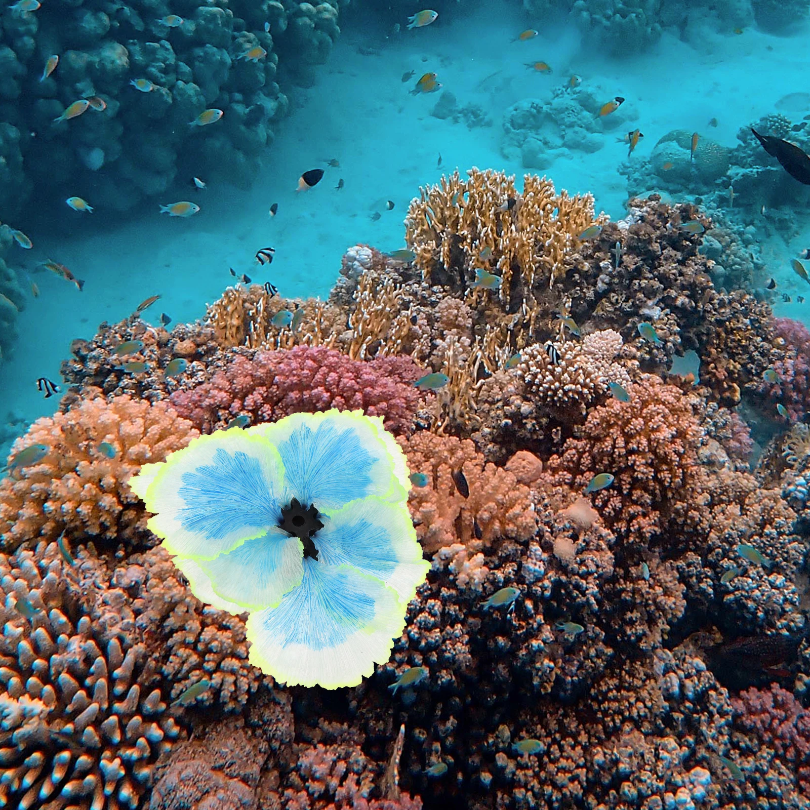 

Fish Tank Aquatic Plant Decor Artificial Durable Water Grass Aquarium Accessory Micro Landscape Fish Tank Ornament