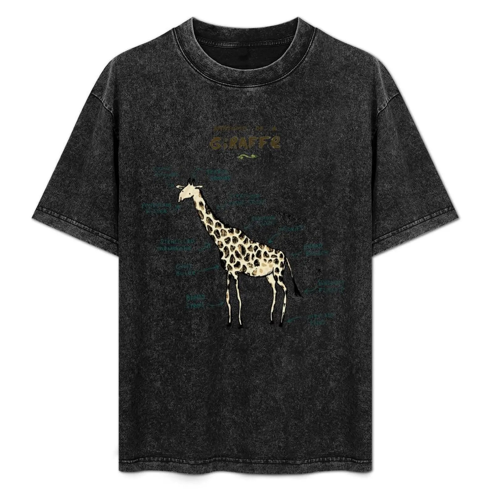 

Anatomy of a Giraffe T-Shirt Casual Holiday Short Sleeve Tee