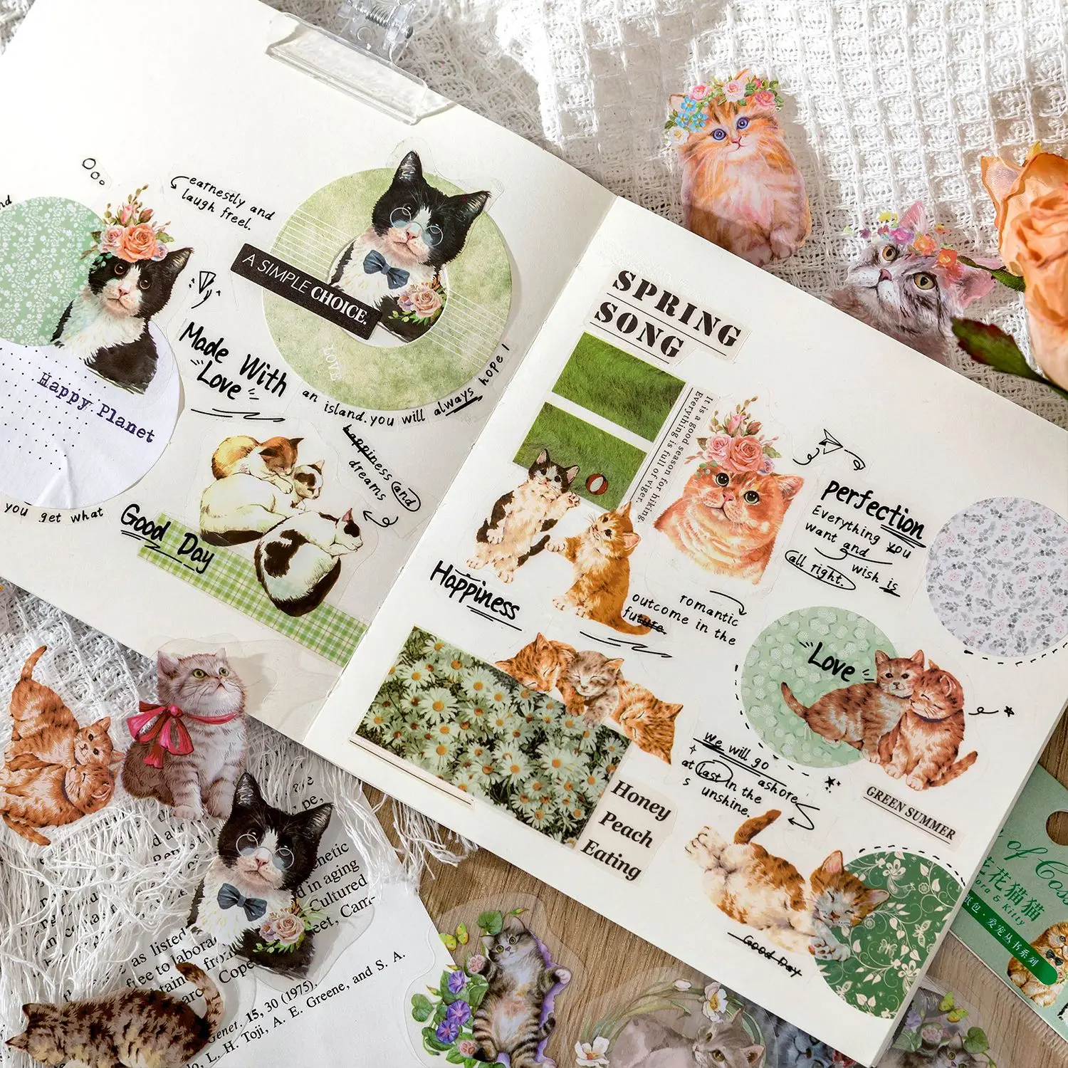 Journamm 40pcs/pack Kawaii Cat Stickers Pack PET Materials Collage Photo Album DIY Scrapbooking Decor Diary Sticker Stationery