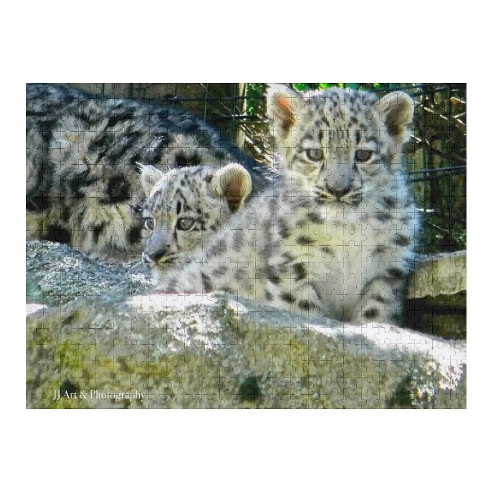 

Snow Leopard Cubs Jigsaw Puzzle Personalised Jigsaw Personalized Gift Puzzle