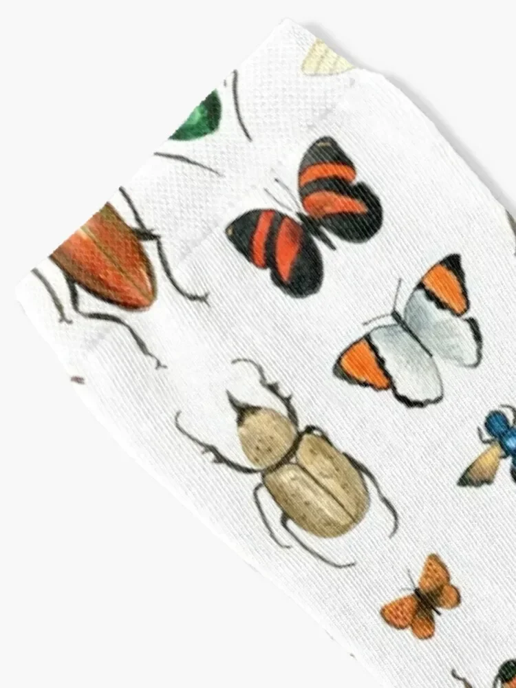 The Usual Suspects - insects on white - watercolour bugs pattern by Cecca Designs Socks ankle Run Socks Men's Women's