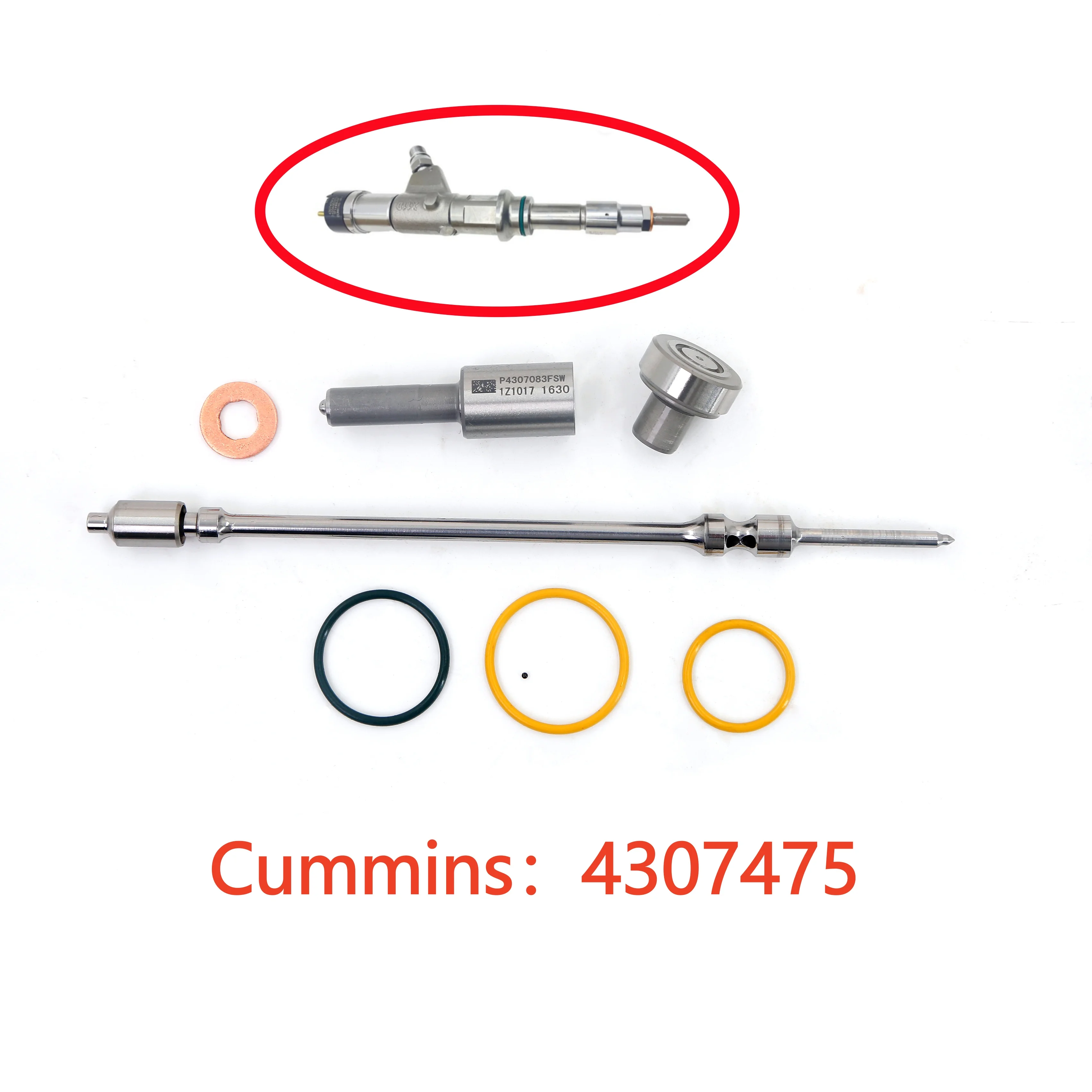 Cummins 4307475 Injector Overhaul Kit & Repair Components Repair Assembly