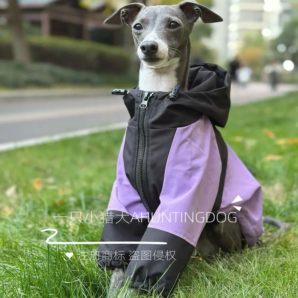 Winter Whippet Hooded Jacket Waterproof Italian Greyhound Clothes Purple Airless Terrier Clothes with Zipper Fleece Raincoat