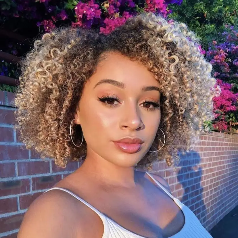 250% Dichte, farbige, kurze, lockige Afro-Perücke, 100% Echthaarperücken für Frauen, Pixie-Locken, T1B/27, ohne Spitze, maschinell gefertigt.