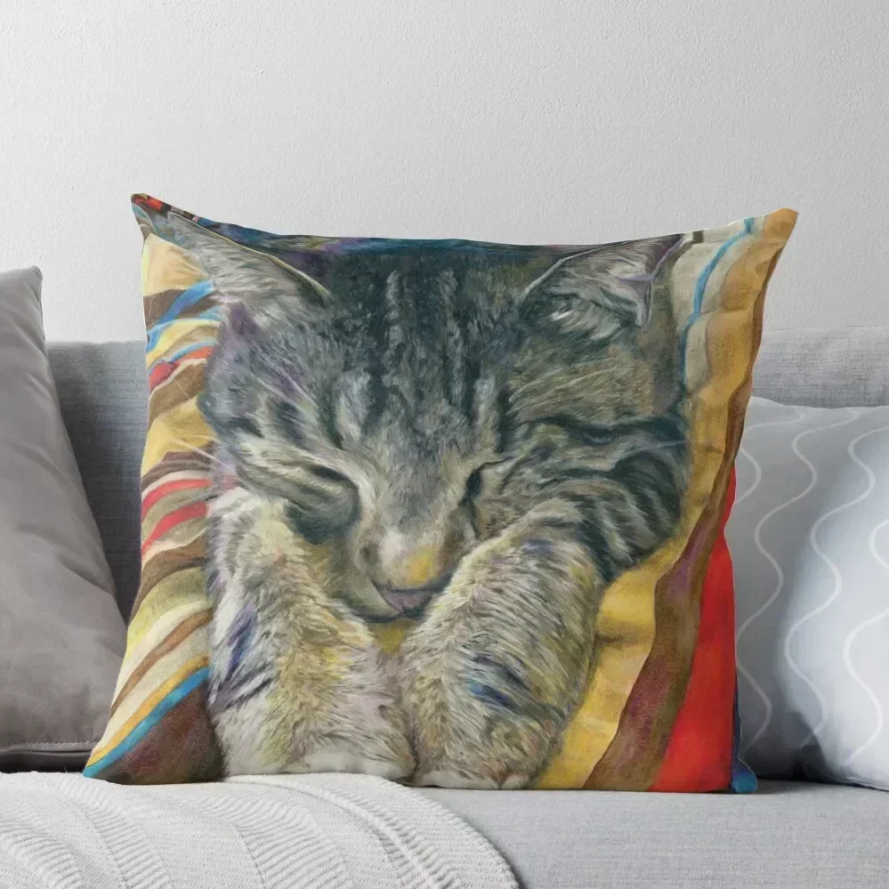 

Sleeping Tabby Cat on Colorful Stripes Throw Pillow pillow cover christmas christmas cushions covers pillow