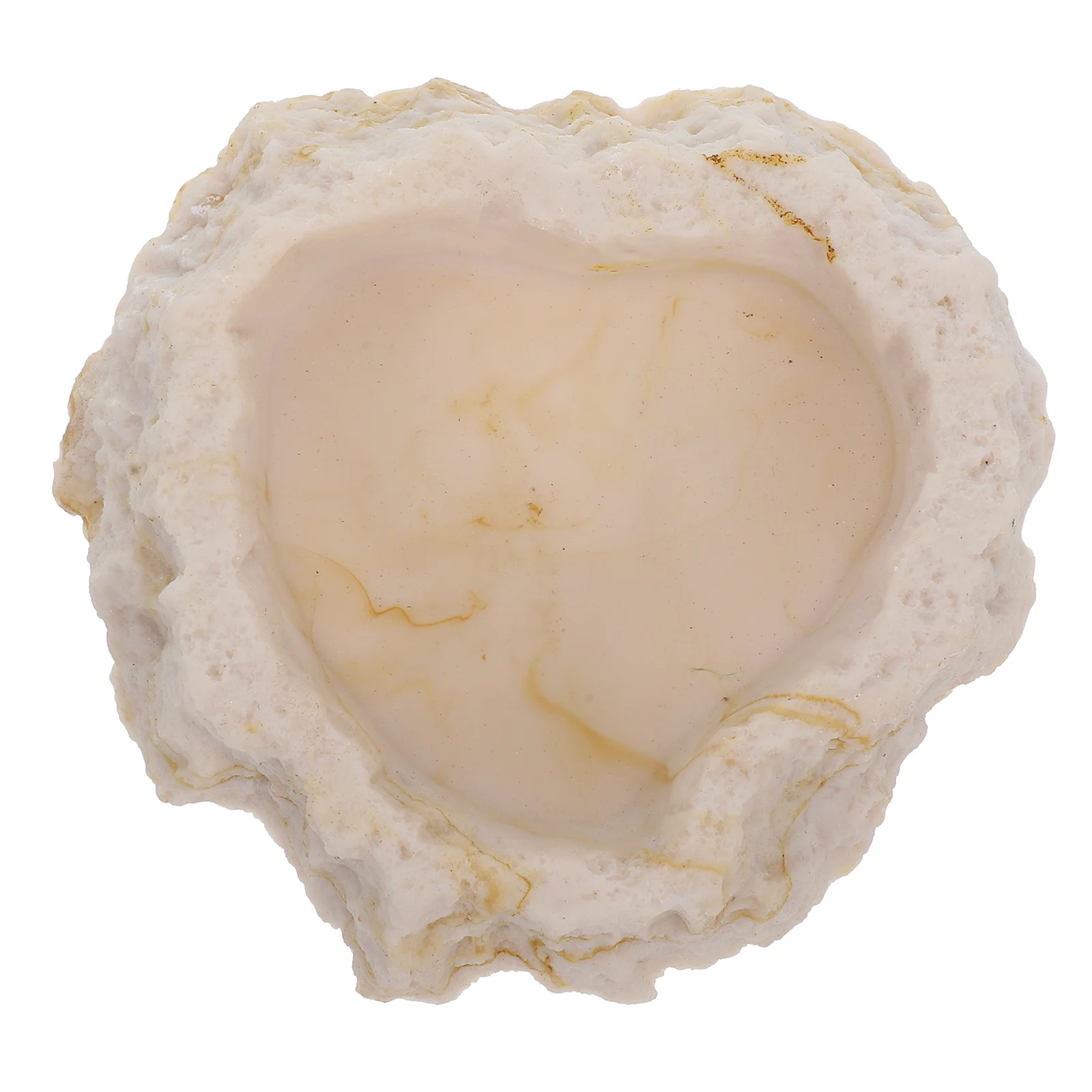 

Anti Escape Reptile Feeding Bowl Resin Made Natural Food Dish for Snake Lizard Scorpion Terrarium Habitat Accessory