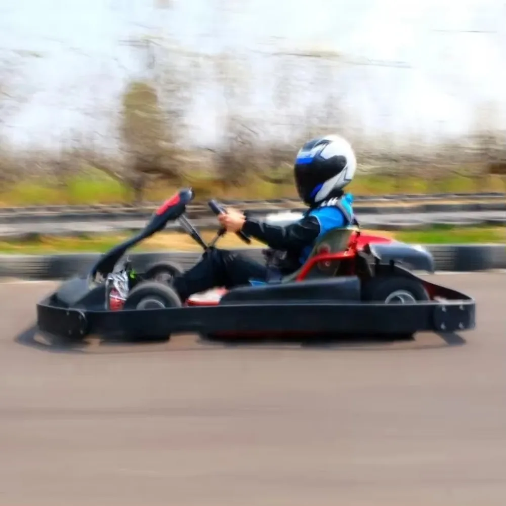 Cheap Professional Racing Go Kart