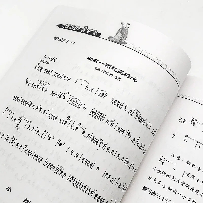 Learning Pipa From Zero Chinese Music Book for Adults