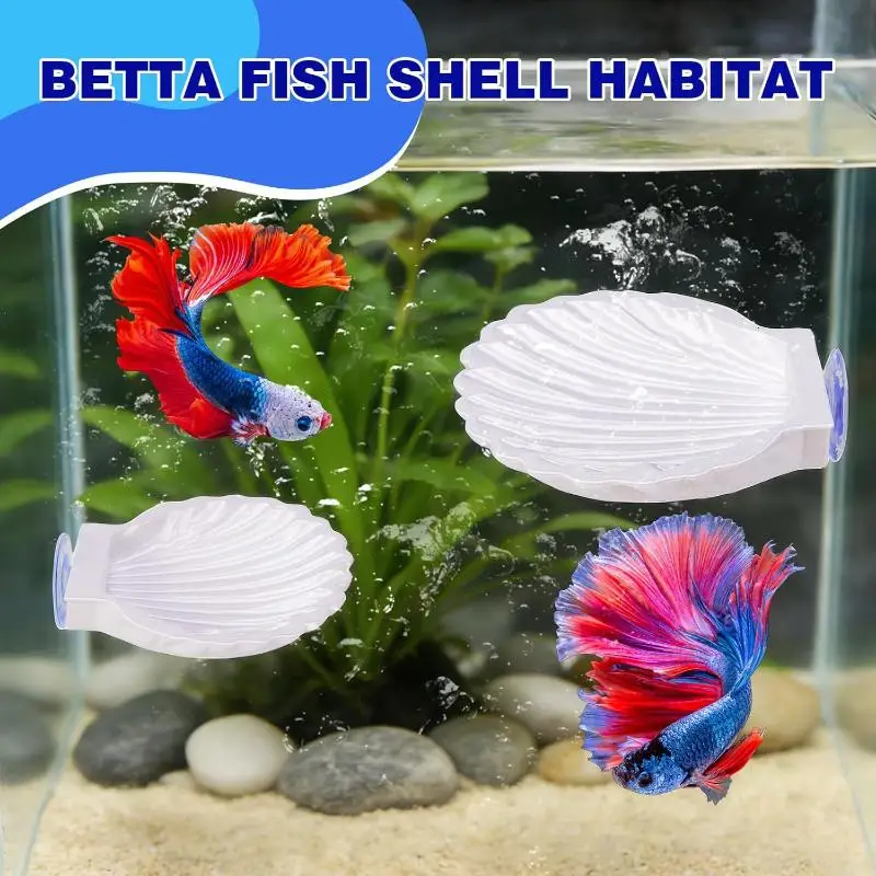 【Beautiful】Shell Shaped Betta Fish Spawning Rest Platform With Strong Suction Cup Smooth Surface For Home Aquarium Decor