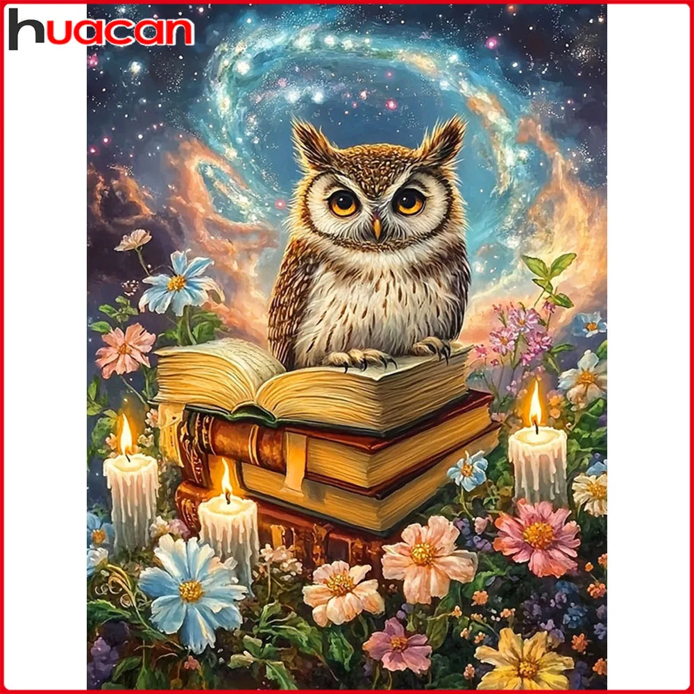 Huacan Neuheiten 2025, Diamantgemälde, Eulenbuch, Diamantmosaik, Tierblume, komplettes Kit, Bild von Strasssteinen