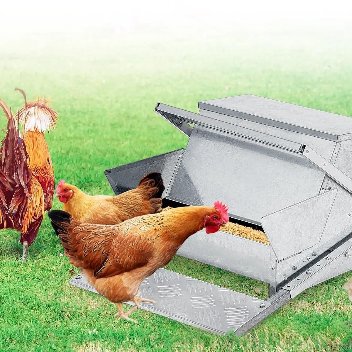 Pet Feeder Automatic Chicken Feeder Large Capacity No Waste Poultry Feeder Galvanized Steel Chicken Treadle Feed