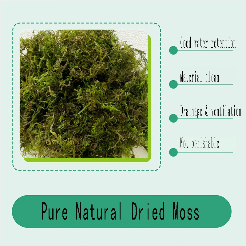 

Dried Moss Bonsai Decorative Micro Landscape Flower Arrangement Accessories Pet Mat