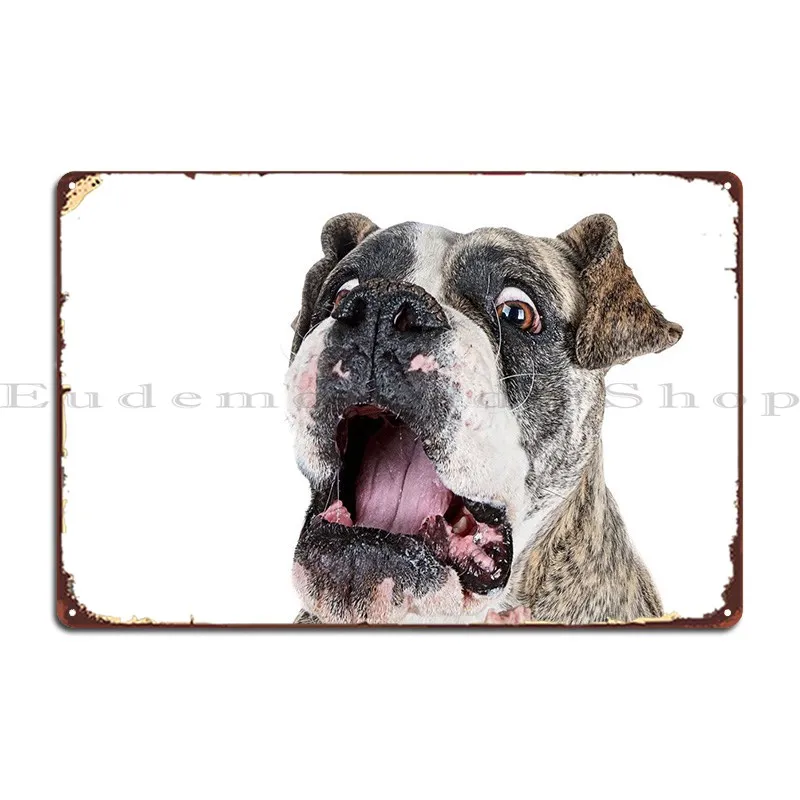 

Boxer Funny Expression Metal Sign Funny Pub Wall Plaque Cinema Tin Sign Poster