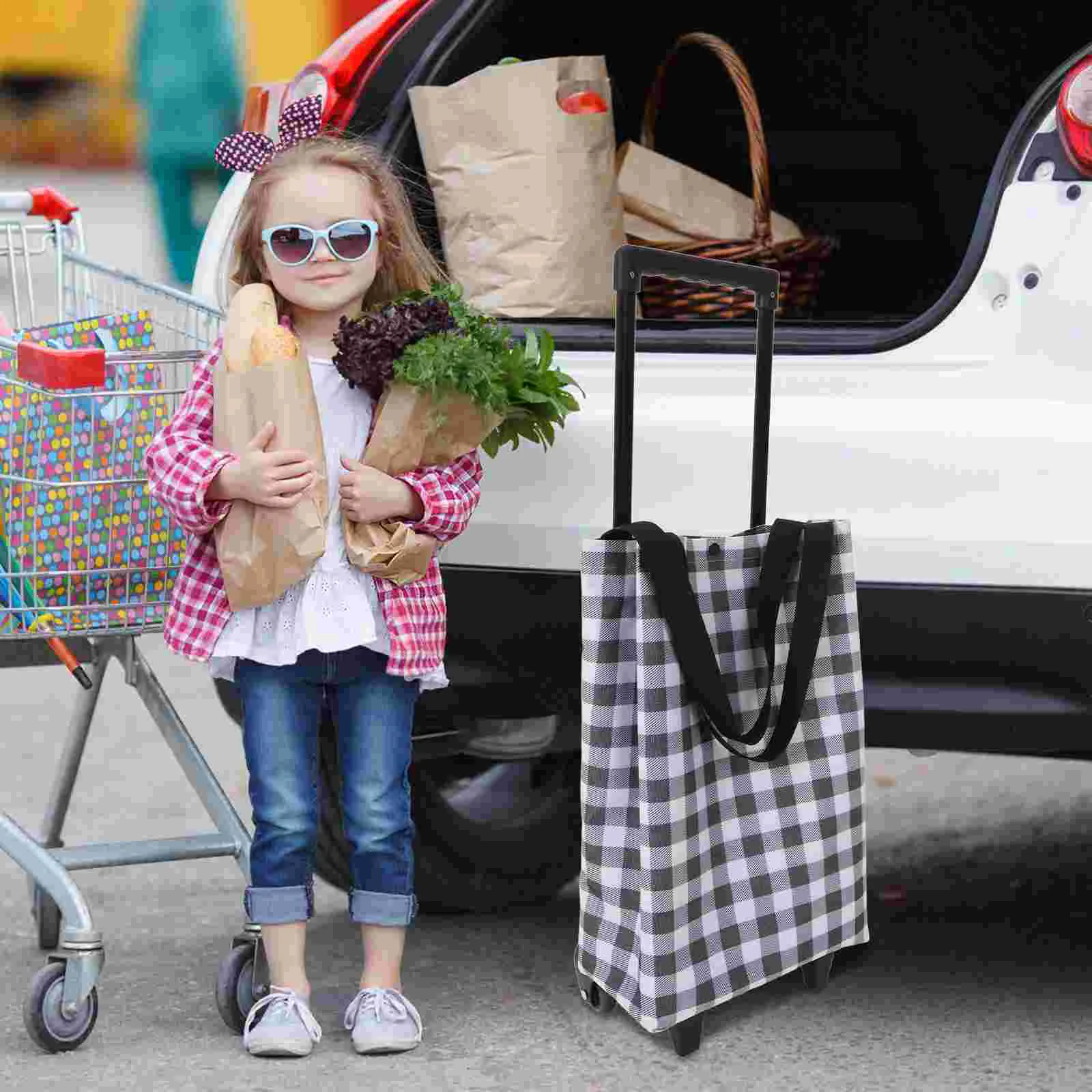 Trolley Shopping Cart Fold up Wagons with Wheels Rolling Bag Tug Plastic Collapsible Grocery Small