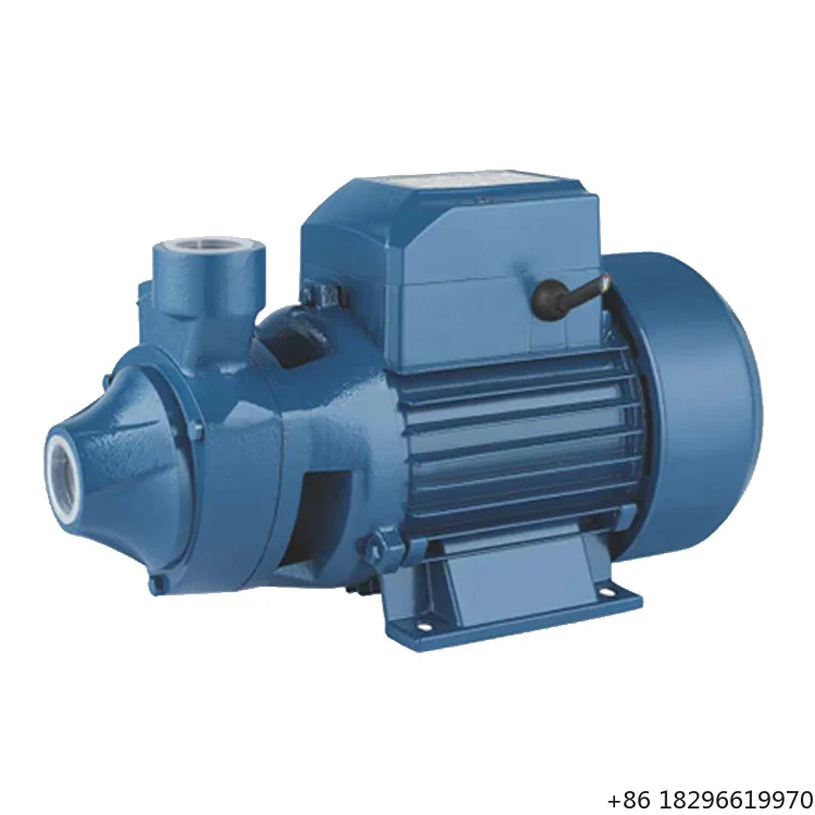 OEM QB60 0.5 Single-Stage Peripheral Cast Iron Water Pump High Pressure 0.37kw Brass for Industrial Applications Customizable