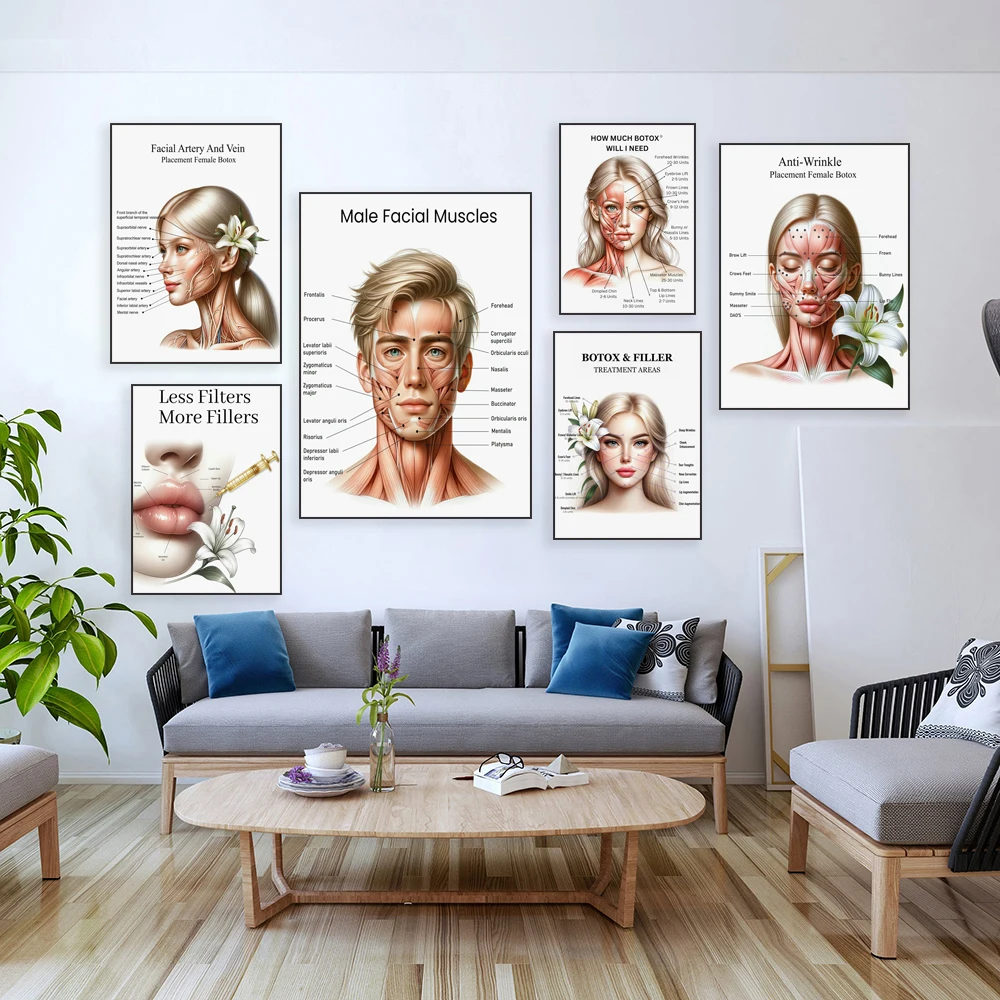 Female male face muscles, facial arteries and veins art, lip fillers, botox treatment, botox injection, medical spa poster