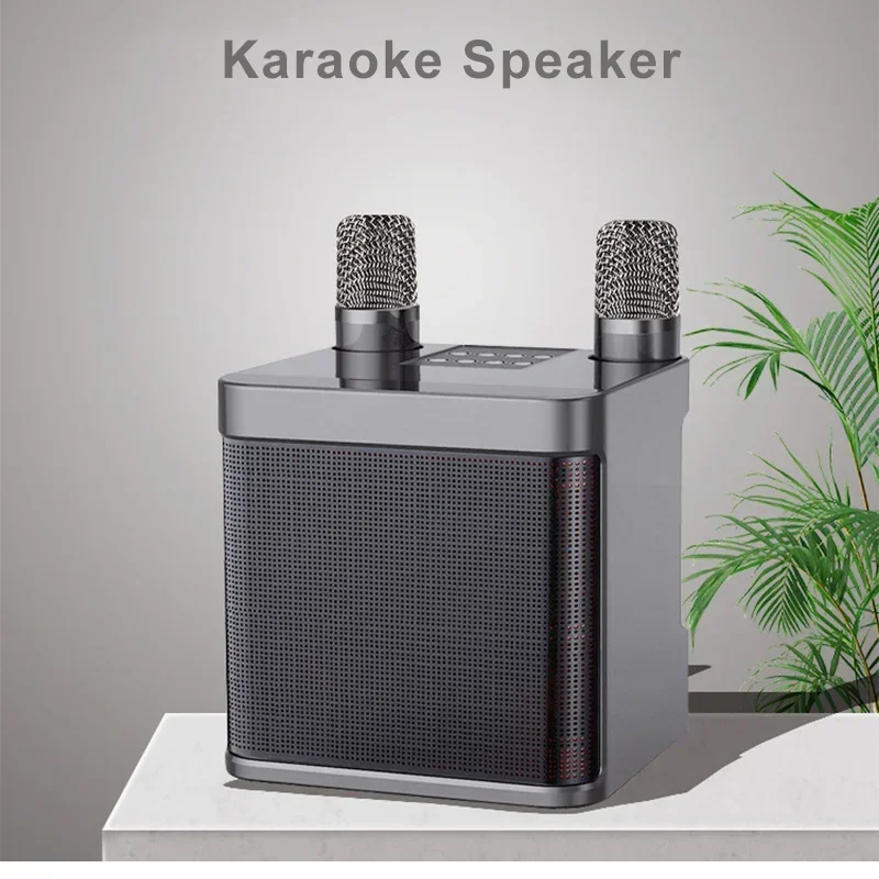 Family Karaoke Ausio with Dual Wireless Microphone All-in-one Machine 10W Stereo Portable Bluetooth Mini Speaker with Super Bass