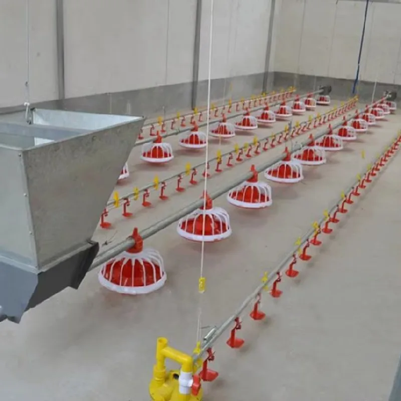 Customizable Hot Sell Full Automatic Broiler Feeding System for Poultry Farming