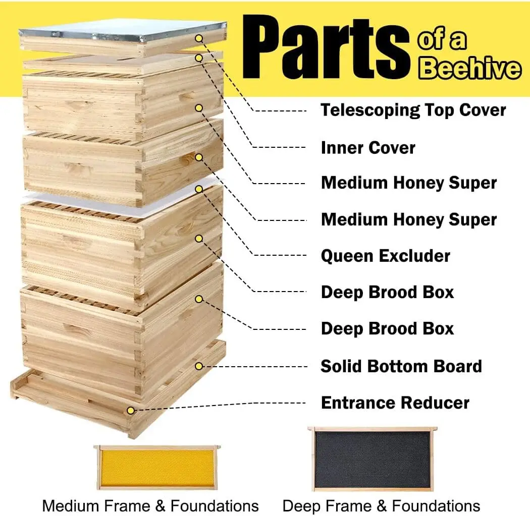 

10-Frame Complete Bee Hives and Supplies Starter Kit, Beehives for Beginners with Beehive Frames and Waxed Foundations