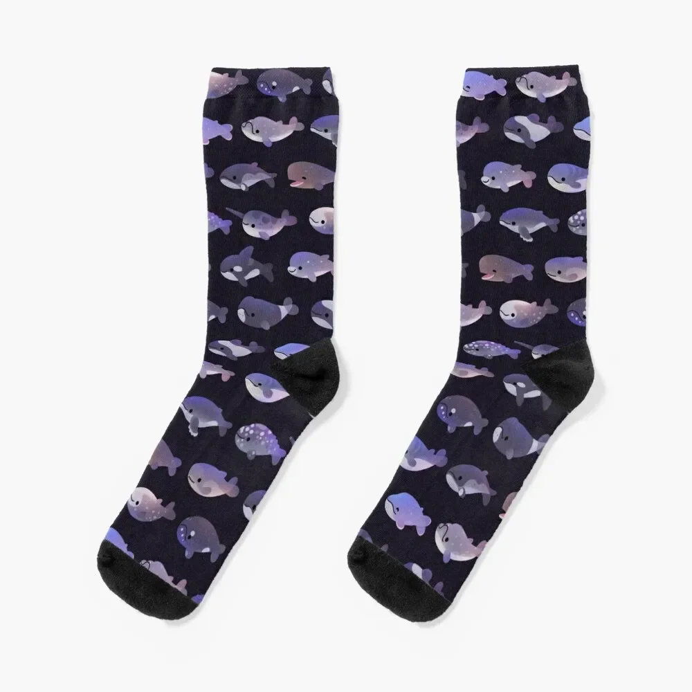 

Whale Day Socks fashionable christmas gifts Socks Ladies Men's