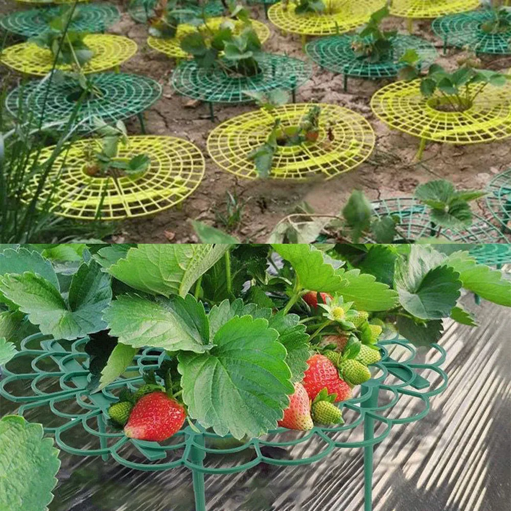 Stojak truskawkowy uchwyt ramki balkon stojak do sadzenia owoców wsparcie roślin kwiat wspinaczka winorośli filar stojak ogrodniczy