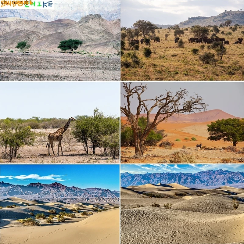 

Vast Sand Dunes Blazing Sun Desert Photography Backdrops Sunset Sky Rocks Safari Landscape Dried Tree Birthday Background DS-04