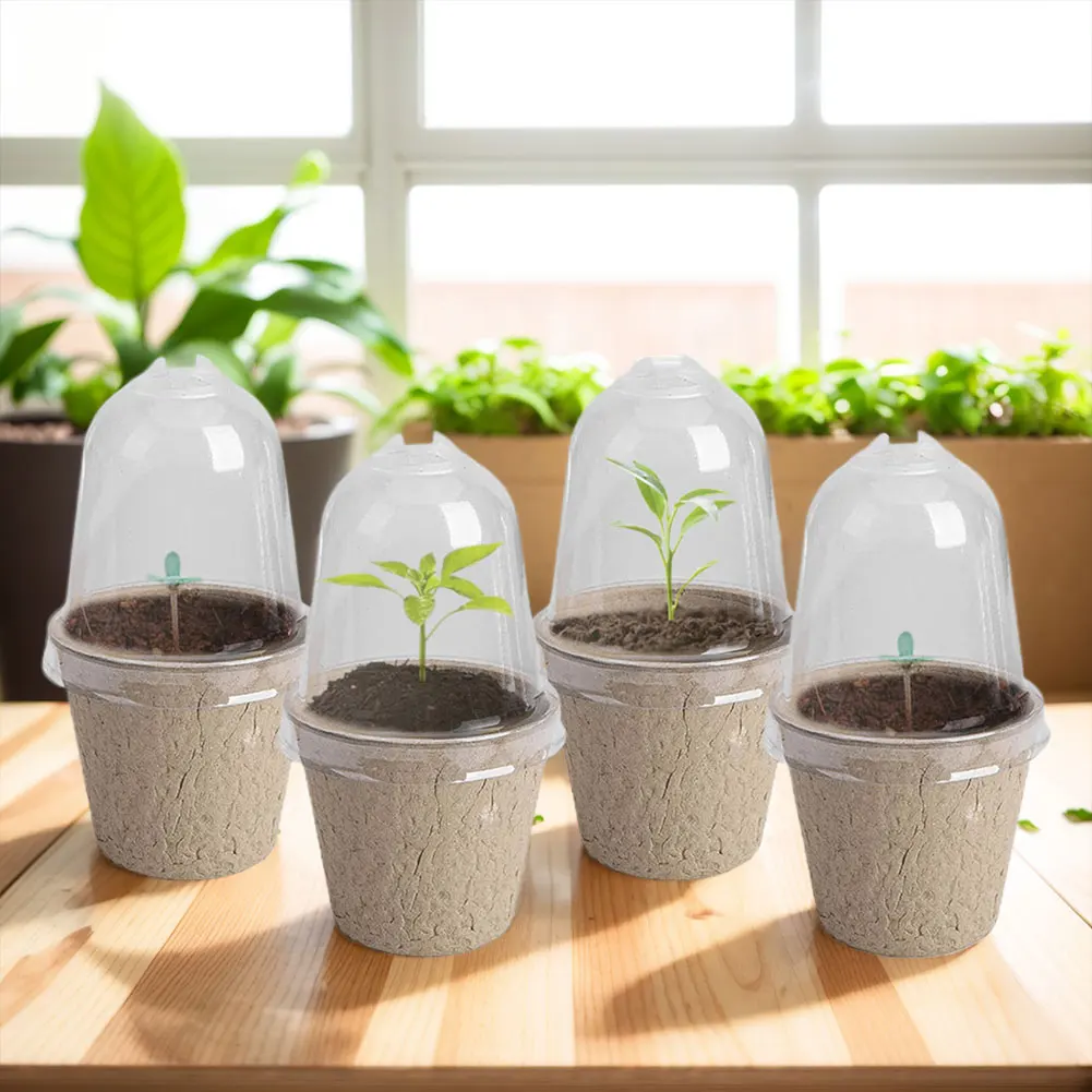 10Pcs Seedling Cup Cultivation Pot Transparent Lid Germination Planter Versatile Greenhouse Breeding Box Gardening Supplies