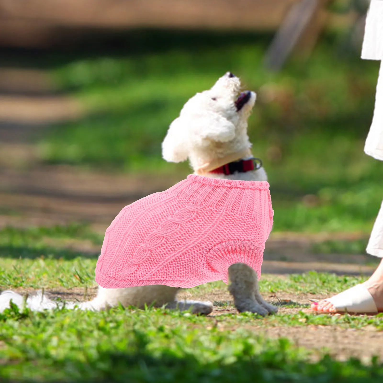 

Dog Sweater Small Size Puppy Winter Clothes Warm Pet Sweater For Dogs Cute Outdoor Wear Comfortable Dog Clothing Decor