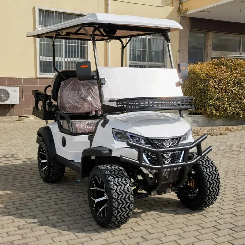 Electric golf cart 2-8 seats scenic travel ferry, sightseeing car