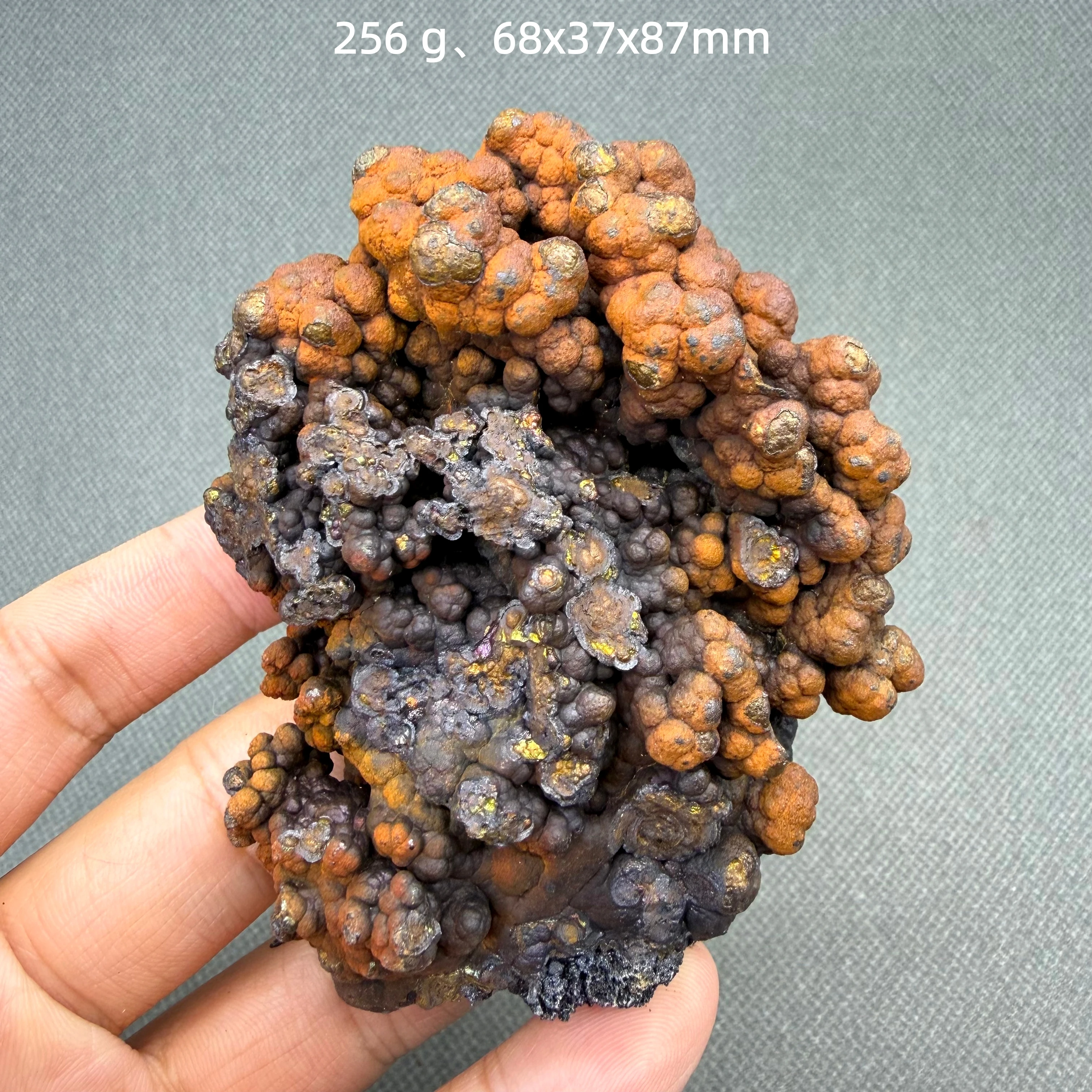 Spécimen minéral naturel de limonite botryoidale en forme de grappe, pierre de fer pour décoration intérieure