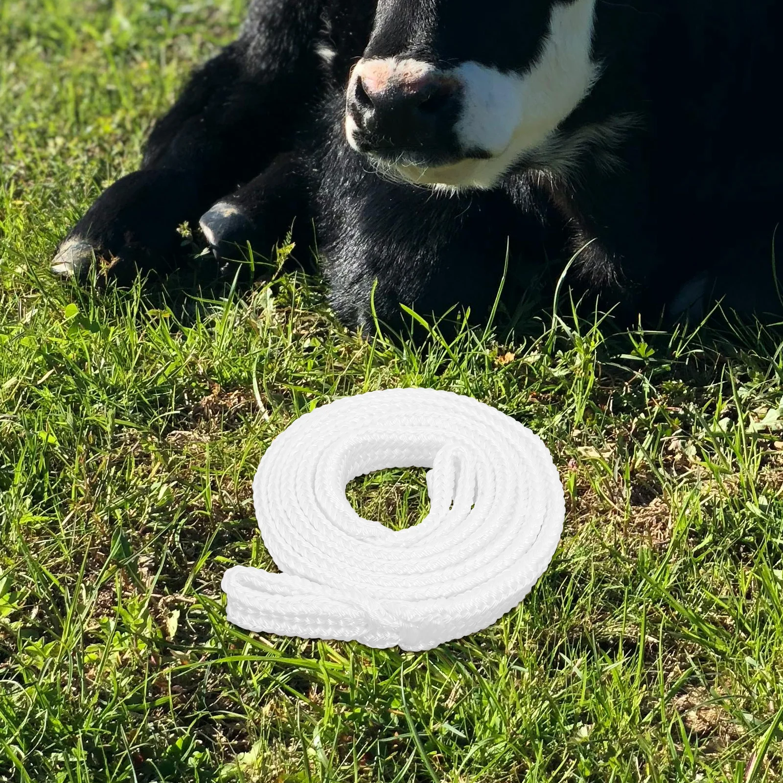 

Cow Delivery Rope Livestock Birthing Tool Soft Chinlon Obstetric Care Cattle Supplies Midwifery Rope Horse Pet Goods Portable