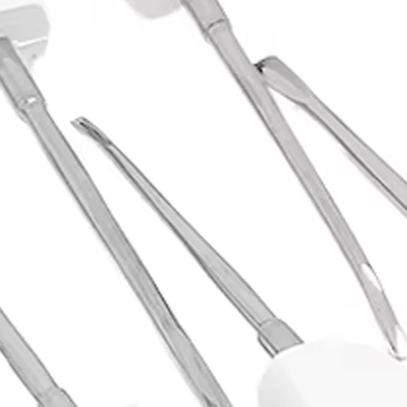 

10pc Dental Elevator Set Stainless Steel Tooth Root Lifter for Oral Surgery Implant Recovery Ergonomic Grip