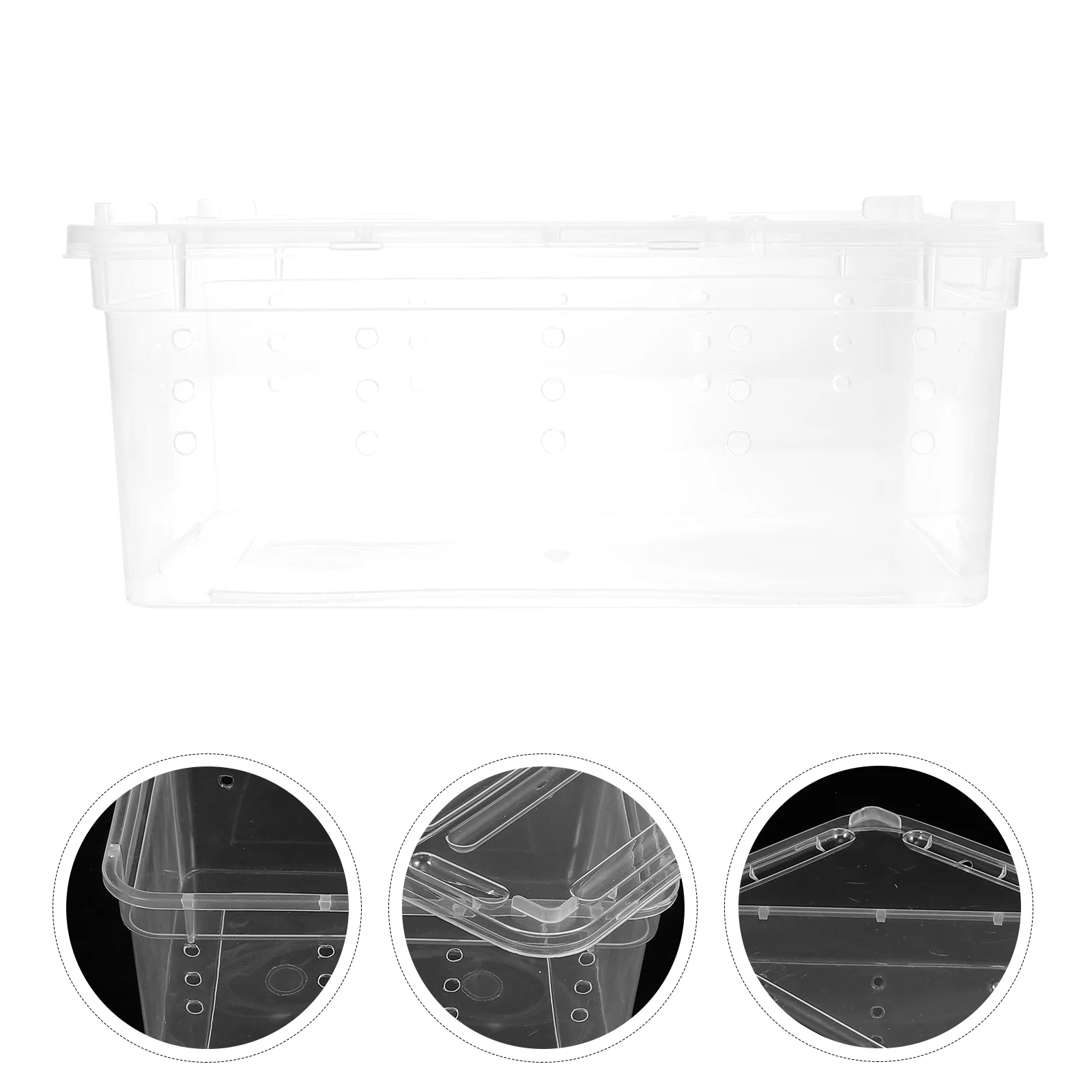 Animals Insect Rearing Box Climbing Pet Feeding Container Sea ​​turtle Reptile Storage Case Transparent for Display Containers