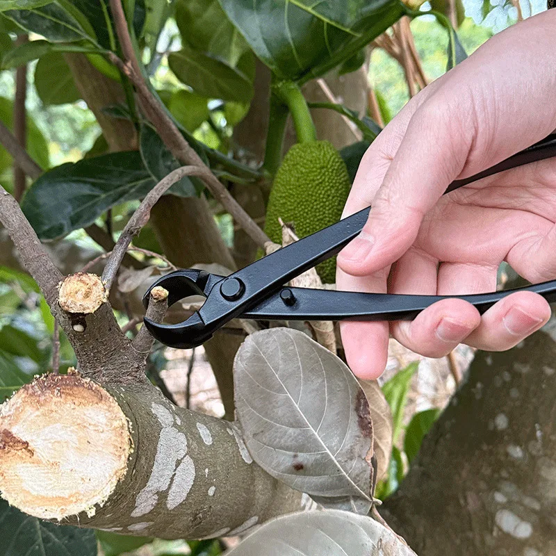 1pc Creative Practical Stainless Steel Flower Cutting Shears, Garden Tree Pruning Shears Thick Branch Shears Household Bonsai To