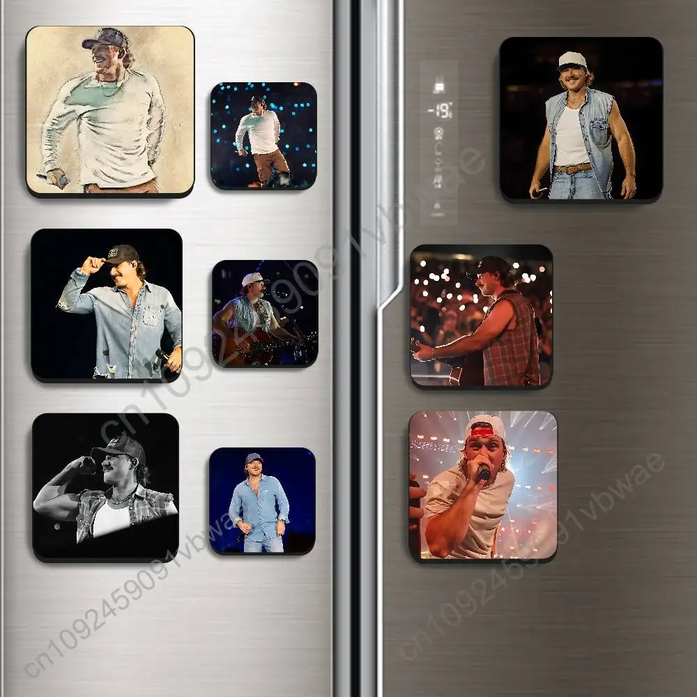 I m The Problem Morgan Wallen Magnetic Sticker Fridge Magnets No Falling Off Fit for Refrigerators All Metal Surfaces Home Decor