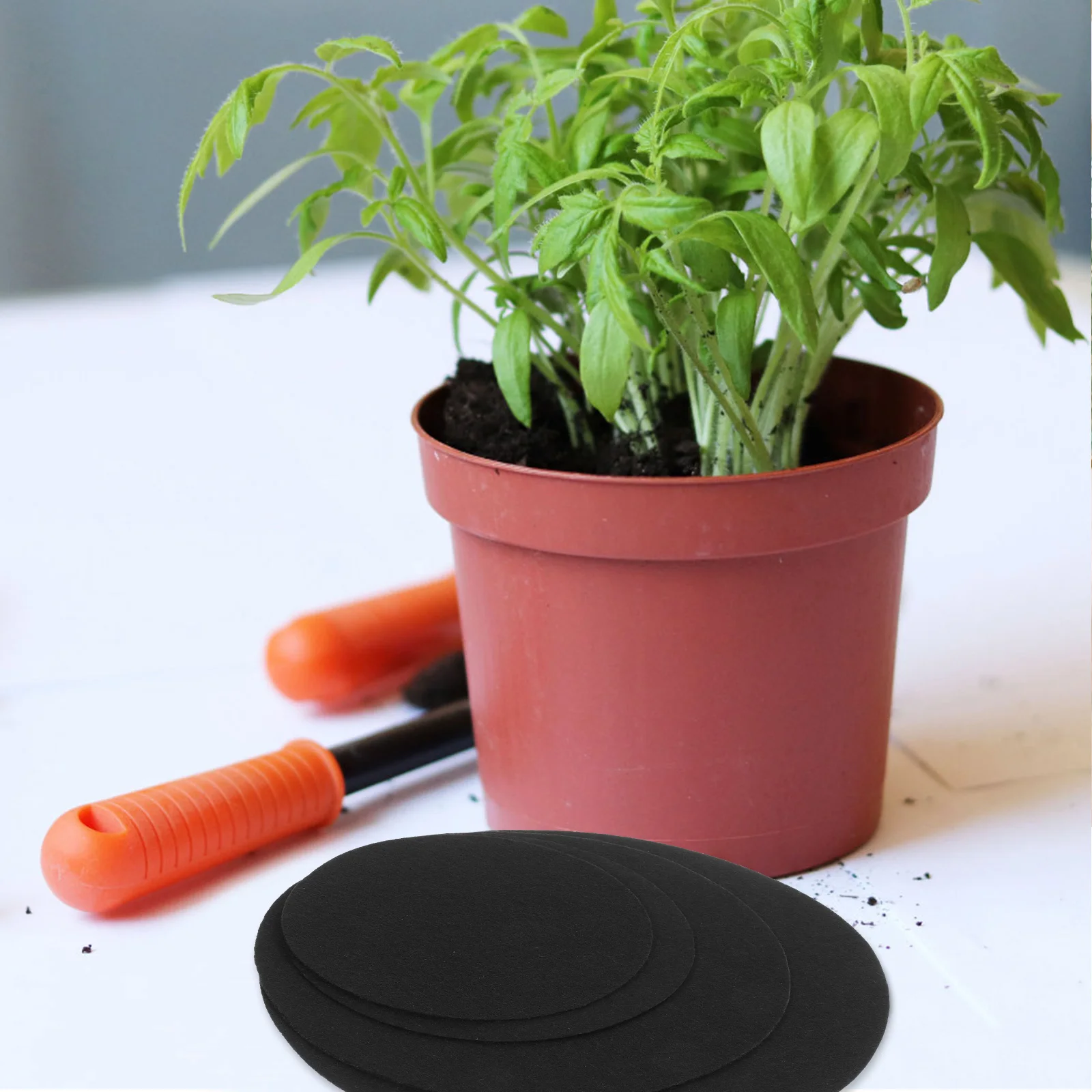 

40pcs Flower Bottom Plant Coaster Mat Pads Non woven Drainage Gaskets Planter Round Mats 10cm 12cm 15cm 18cm Size Set