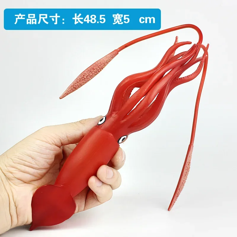 Toys Squid Calamary Simulation Model Marine Animals Sea Animal Kids Gift Educational Props Action Figures