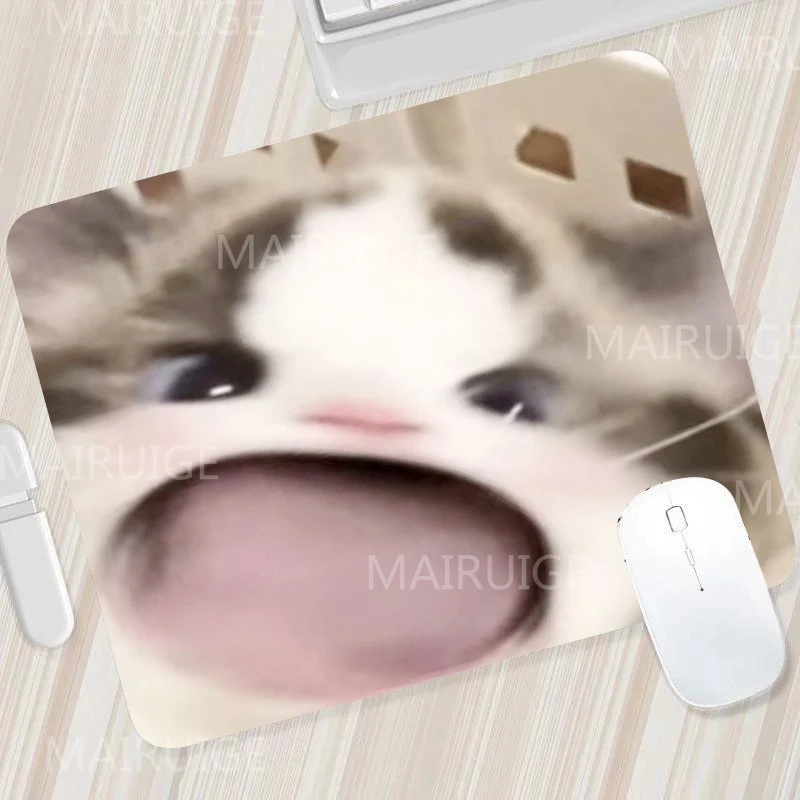 베이지 화이트