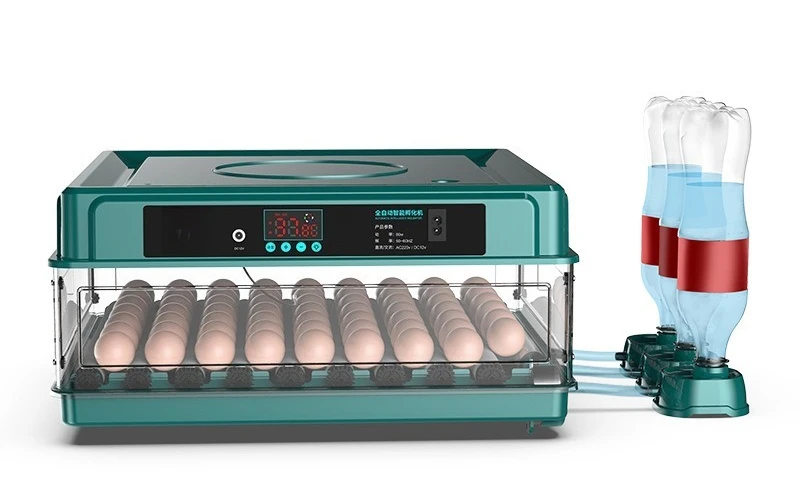 

Автоматический инкубатор, автоматический инкубатор для воды, инкубатор для яиц курицы, утки, гуся, голубя, интеллектуальный малогабаритный бытовой инкубатор для яиц.