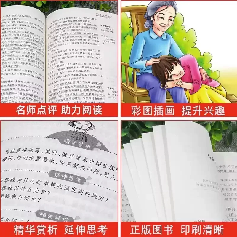 Chinese storybook for25 Autumn Reading Achievement Future Fourth Grade Full Set of 6 Book Stories White Seal Series Weishan Lake