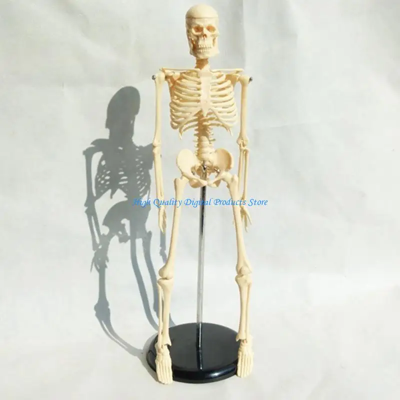 U2JEメディリミニヒューマンスケルトンモデル学習教育用ディスプレイツールギフト