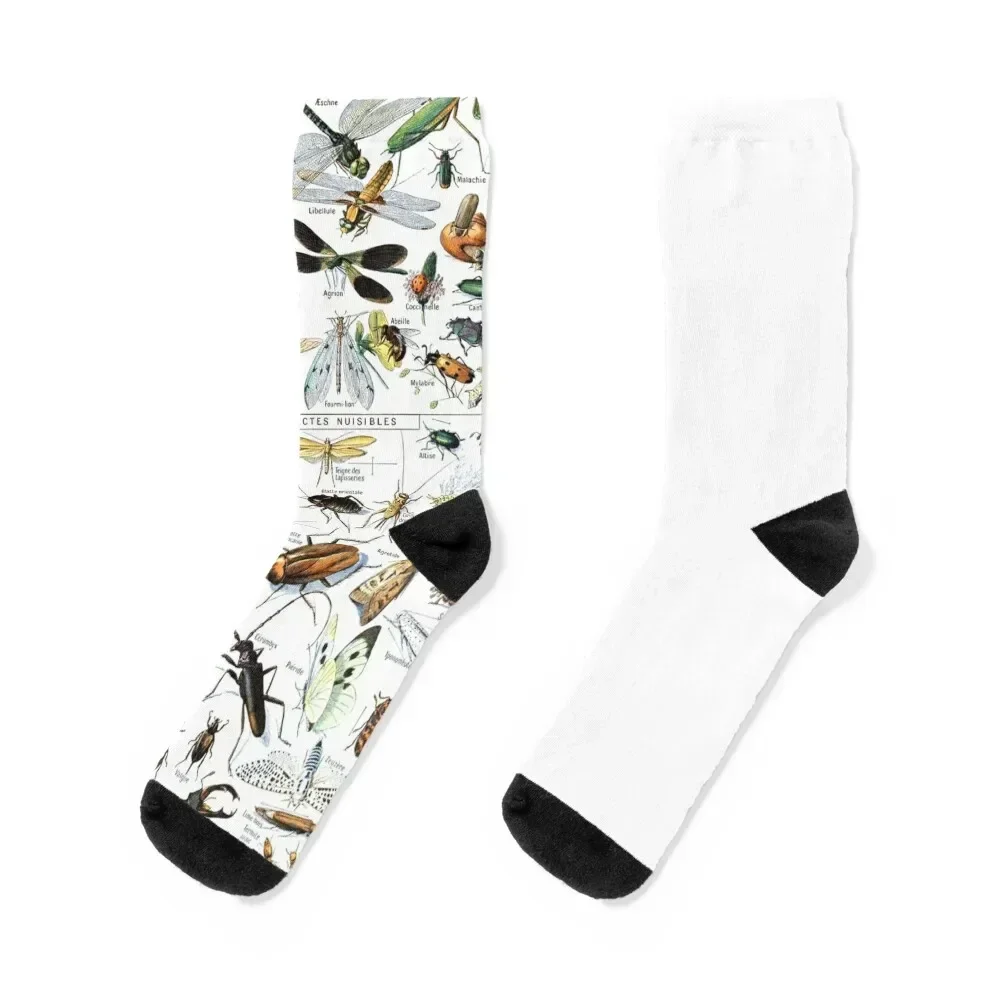 

Insects Illustrations by Millot and Larousse Socks professional running hockey sports and leisure new year Women Socks Men's