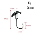 25pcs 5g