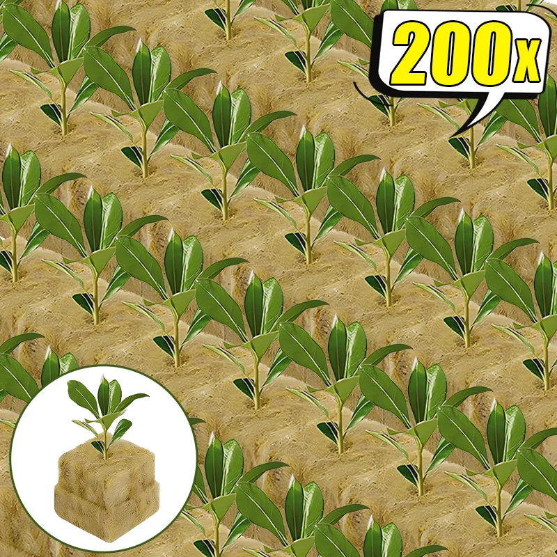 200/50 szt. Gąbki do sadzenia wełna mineralna zatyczki startowe hydroponiczne lampy do wzrostu kostki mediów do domu szklarnia narzędzia ogrodowe